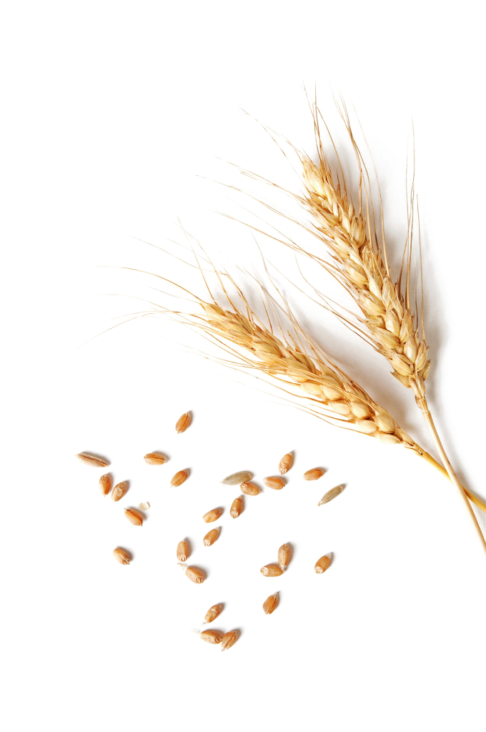 Wheat decoration