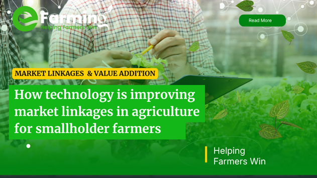 How Technology Is Improving Market Linkages in Agriculture for Smallholder Farmers in Somalia