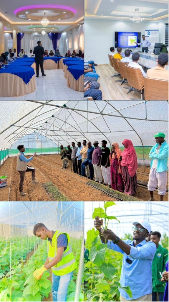 Youth & Women Agribusiness Capacity Building Project
